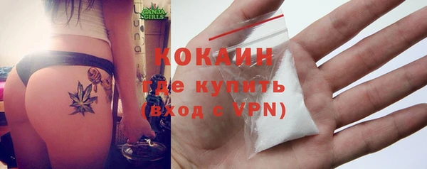 твердый Аркадак