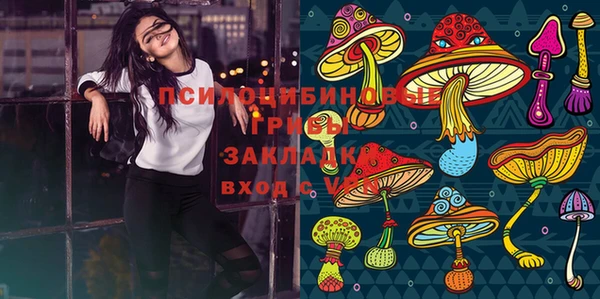 винт Арсеньев