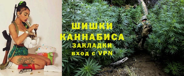 твердый Аркадак