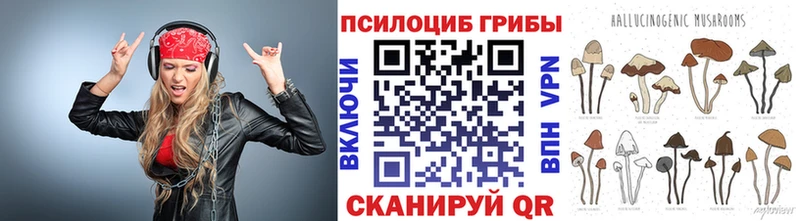 Псилоцибиновые грибы Psilocybine cubensis  Енисейск 